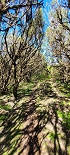 Plants: image 94 Of 208 Thumb